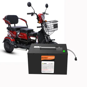 Presa di fabbrica batteria da 48 volt 960Wh CityBike E-Scooter ebike Batterie agli ioni di litio 48 v 20ah