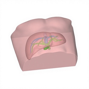 Modello di punzione arteriosa femorale in materiale bionico con pulsazioni palpabili, dimensioni personalizzabili, fantoccio per addestramento guidato da ecografia - Product Image 4