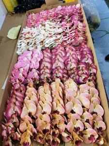 K-0080 कृत्रिम फूल orchid नारंगी नाव ऑर्किड प्राकृतिक रूप सफेद बड़े सिर लेटेक्स घरेलू सजावट के लिए वास्तविक स्पर्श ऑर्किड - Product Image 3