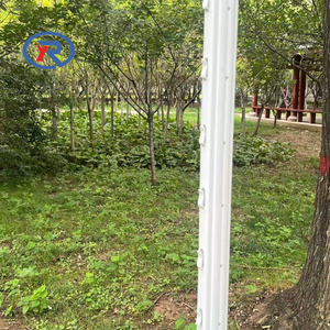 เสาเหล็กชุบสังกะสีแบบหนาสำหรับพยุงต้นองุ่น สวน และพืชเลื้อย - Product Image 4