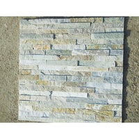 Carrelage mural moderne en pierre naturelle pour l'extérieur, environnement sain, antidérapant pour les toilettes et les murs de briques extérieurs.