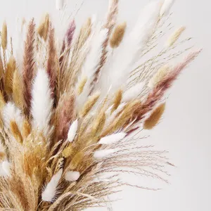 Hot Selling Fluffy Bohemian Style Home Decor Dried Flower Small Pampas Grass Rabbit Tail Bouquet