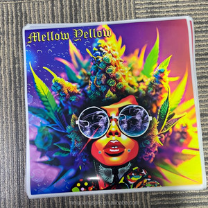 สติกเกอร์รีดร้อนพลาสติซอลคุณภาพดีสำหรับเสื้อยืด สติกเกอร์รีดติดแบบกำหนดเอง ซักได้ - Product Image 5