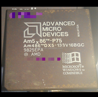 Microprocesseur AM486DX5-133V16BGC BGA MCU Circuits Intégrés CI Composants Électroniques Pièces Électroniques CHIPS