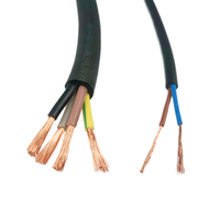 Vertrauens würdige elektrische Kupfer leiter PVC flexibles Kabel Werksverkauf 2,5mm 4mm 6mm Dual Core isolierte Drähte für die Haus verkabelung