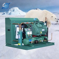 Sistem Pendingin Ruangan Freezer Penyimpanan Dingin Khusus dengan Unit Kondensor, Katup Evaporator, dan Kotak Kontrol Elitech
