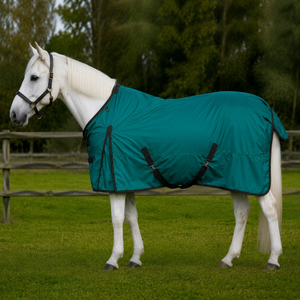 Manta de lujo azul de poliéster para caballo con 3 correas ajustables y herrajes de latón ABORON 78H, impermeable para establo y exterior - Product Image 1