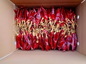 ISO HACCP Certificado Guajillo <span class=keywords><strong>Chile</strong></span> <span class=keywords><strong>seco</strong></span> <span class=keywords><strong>Chile</strong></span> rojo americano <span class=keywords><strong>Chile</strong></span> a precio barato - Product Image 2