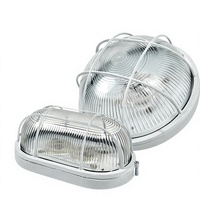 Lumière LED anti-explosion, anti-humidité, anti-poussière, étanche pour entrepôt, usine, extérieur, salle de bain, sous-sol, plafond - 110-240V