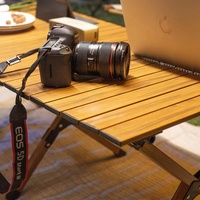 Table pliante d'extérieur Egg Roll, table de camping portable pour barbecue, avec composants en plastique et structure en alliage d'aluminium