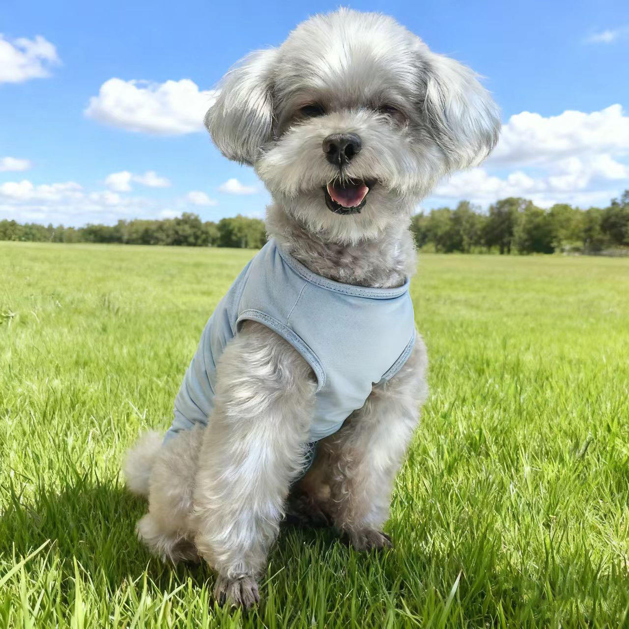 สีน้ำเงิน - โพลีเอสเตอร์ ไอซ์ซิลค์ ยืดหยุ่น / ขนาด M