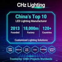 Lámpara Solar CHZ IST11 80W 100W para Alumbrado Público, Parques Industriales y Áreas de Fábrica, 170lm/W, IP65