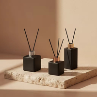 Lot de 100 diffuseurs à bâtonnets en verre écologiques de 100 ml, parfum Buzlu Kamishli, contrôle des odeurs, parfum d'ambiance pour la maison et l'hôtel, emballage cadeau