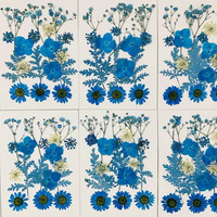Fleurs séchées décoratives pressées naturelles, pétales de fleurs séchées pour bricolage coque de téléphone résine/décalcomanie cadre fleurs séchées décoratives