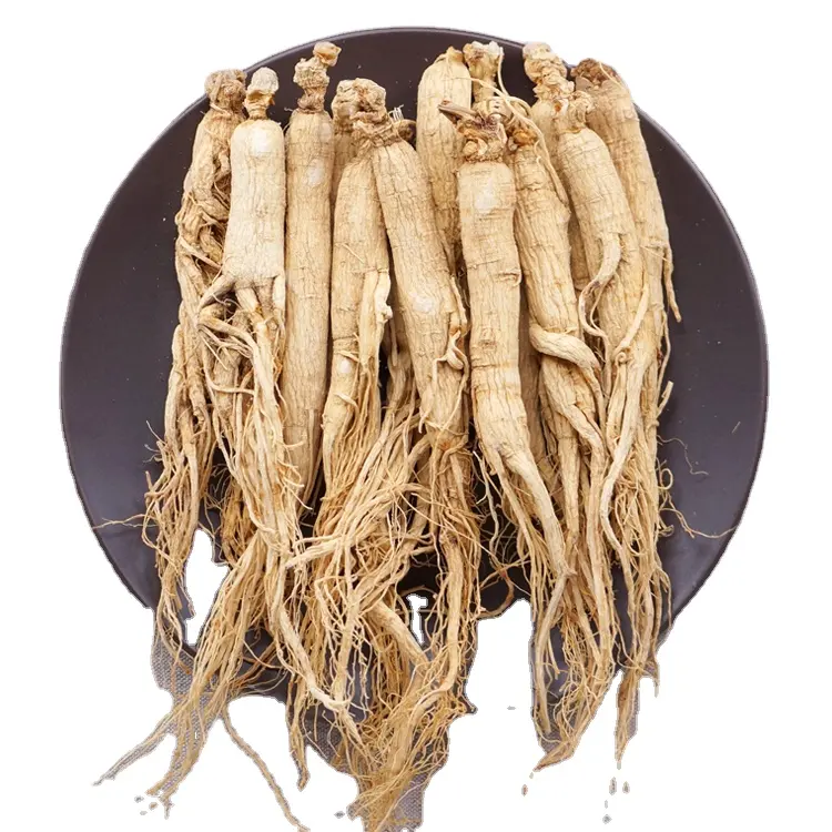 chinese herbal dried organic panax wild chinese gensing product root ginseng 30 pcs Renshen