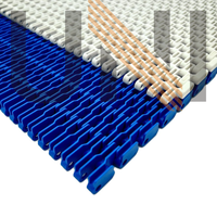 Modulaire kunststof transportband, FDA-goedgekeurd, voor de drankenindustrie