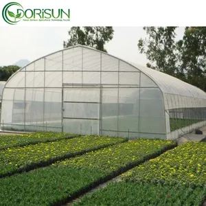 Simple And Easy To Operate, Which Everyone Likes To Use Orangery Greenhouse Garden Agricultural Greenhouses