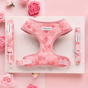 Ensemble Harnais et Collier pour Chien et Chat Personnalisé de Luxe en Polyester Réglable Anti-Traction, Nouvelle Collection, Vente en Gros, Fabrication sur Mesure - Product Image 1