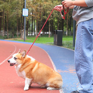 Correa <span class=keywords><strong>de</strong></span> Adiestramiento para <span class=keywords><strong>Perros</strong></span> Ajustable y Anti-Rotura, Tipo P-Leash/P-Rope, para Uso en Exteriores, para <span class=keywords><strong>Perros</strong></span> Grandes/Medianos/Pequeños - Product Image 3