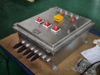 Boîtier de commande d'éclairage antidéflagrant Ex d Ex E pour systèmes d'automatisation industrielle et centrales électriques, IP65 IP66