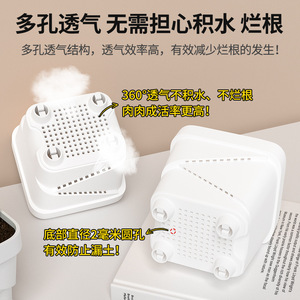 Juego de Macetas para Suculentas Qinfeng, Maceta de Plástico Blanca de 8 cm para Escritorio, Jardinería en Casa, Transpirable, Resistente y Duradera - Product Image 3