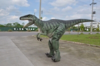   Costume de dinosaure animatronique fait main, grande taille, modèles animatroniques, modèle d'animal animatronique, costume de Velociraptor