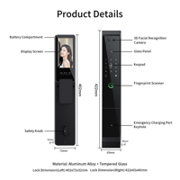 Kunci Pintar AI Bluelock TTLock untuk Sidik Jari, Kata Sandi, Kartu RFID, WiFi, Pengenal Wajah 3D, Keamanan Visual, Harga Pabrik