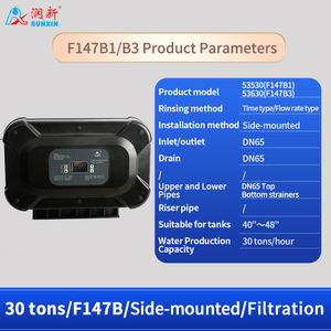 Factory Supply 30000LPH 30TPH F147B 53530 F147B1 53630 F147B3 Automatic <strong>Filter</strong> Valve for Manganese <strong>Sand</strong> <strong>Filter</strong> - Product Image 6