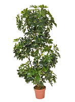 Offre Spéciale arbre d'argent de haute qualité, fausse plante artificielle, arbre riche en plastique, Simulation artificielle, décoration rouge, arbustes