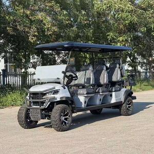 Voiturette de club de chasse 8 places avec moteur AC puissant, contrôleur et batterie au lithium, type scooter, avec Curtis Carro De Golf - Product Image 4