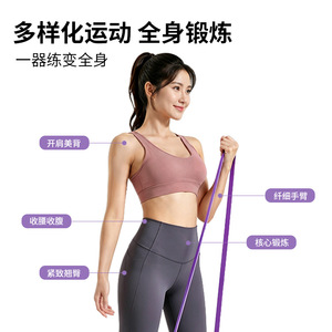 Ensemble de bandes de résistance 5-230Lbs, bandes élastiques TPE avec poignées, ancre de porte, sac de transport pour entraînement de force, yoga, fitness - Product Image 4