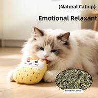 Coussin jouet pour chat en peluche polyester froissé, motif herbe à chat, citron, pomme et cerise, vente en gros