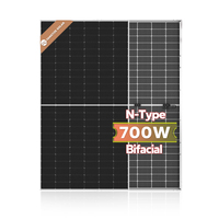Panel Surya 700W Efisiensi Tinggi Energi Bersih Instalasi Komersial Proyek Surya Output Handal