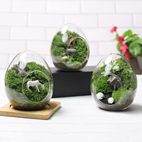 Wohndekor Miniatur-Sukkulenten Glasbehälter Leeres Eiförmiges Glas Transparentes Hochborosilikatglas Pflanzenterrarium