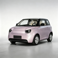 Prix usine 2026 Linxys A100C Mini SUV électrique Batterie lithium 4 places Autonomie 201-300 km 30 kWh Commande en gros OEM/ODM pris en charge