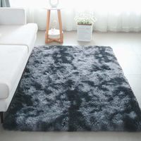 Tapis moelleux pour chambre à coucher, grand tapis d'intérieur en peluche douce pour salon