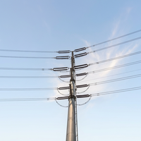 Tour monopôle en acier Q355B galvanisé à chaud 110 kV double circuit OEM pour ligne de transmission d'énergie
