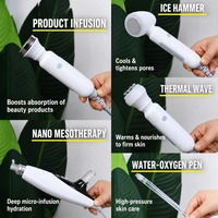Stylo à bulles d'oxygène 12-en-1 Hydro Co2 pour peeling, mésothérapie, hydradermabrasion, appareil facial