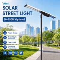 Lampu Jalan Tenaga Surya Anern IP66 Tahan Air 60W hingga 250W dengan Casing Aluminium Die Cast untuk Proyek Jalan Pedesaan dan Pembeli Tender