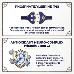 Suplemento Premium en Polvo para la Salud Cognitiva de Mascotas, con Ginkgo y DHA, para Perros y Gatos, Marca Privada OEM - Product Image 4