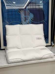 Sonbahar ve kış yeni otel yastık şekli düşük yastık Mitchell Hilton beş yıldızlı otel yastık - Product Image 2