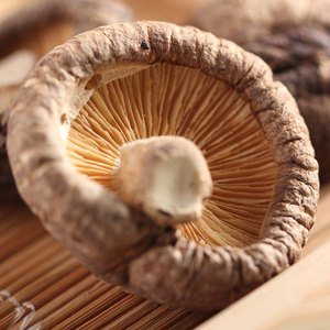 थोक सूखे shiitake मशरूम उच्च गुणवत्ता वाले जैविक सूखे फूल shiitake मशरूम पूरे मशरूम (4-5cm)