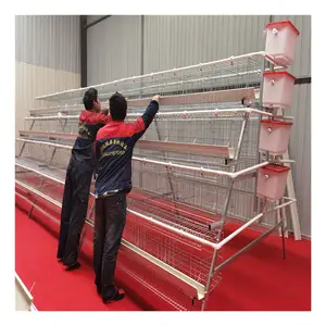 Factory A Type 96 or 128 capacity Laying Hens Battery Chicken Cage With Chicken House For Africa