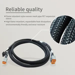 Custom Waterproof DT06-4S Wire Harness Dt Connector DT06-6S Cable Assembly LED Automotive Lighting Wiring Harness