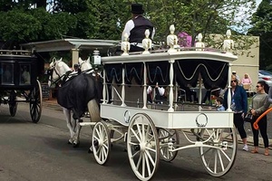 Glass Covered White Funeral Hearse Electric Horse Carriage Horse-drawn Coffin Carriage Electric Funeral Buggy - Product Image 5