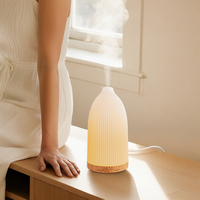 Nouveau diffuseur d'huiles essentielles ultrasonique USB de 100 ml, humidificateur d'air, lumière nocturne colorée, design silencieux, diffuseur d'arômes pour la maison et le bureau