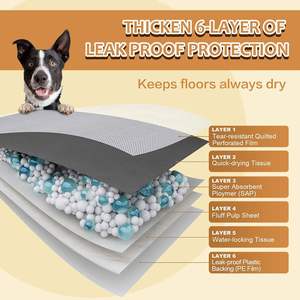 Offre Spéciale Amazon : Tapis d'entraînement jetable pour chiots 34x34 en charbon de bois carbonisé avec coussinets adhésifs pour animaux domestiques - Product Image 4
