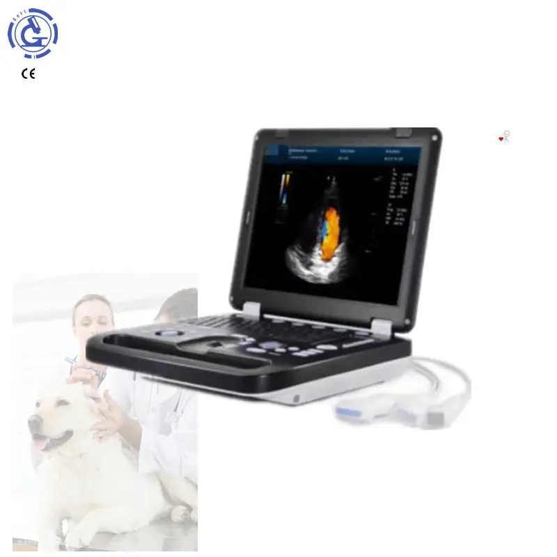 Cardiac vascular 4D color Doppler ultrasound trolley ultrasound machine