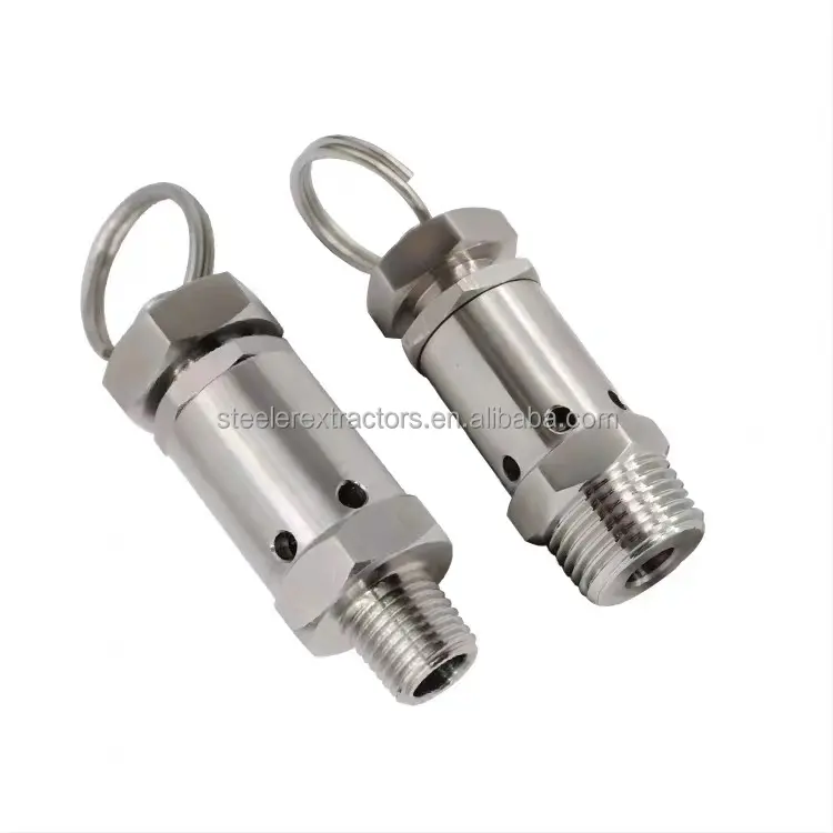 Safety Relief Valve for Air Compressor Temperature and Pressure Relief valve