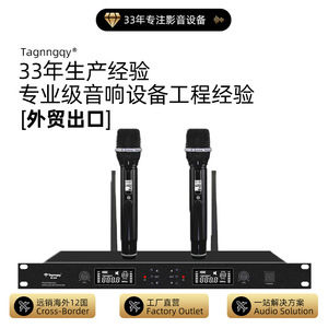 Tianlang Audio <b>Wireless</b> <b>Microphone</b> M-300 Dual Port Dynamic For KTV Bars Stage Outdoor Use - Product Image 5